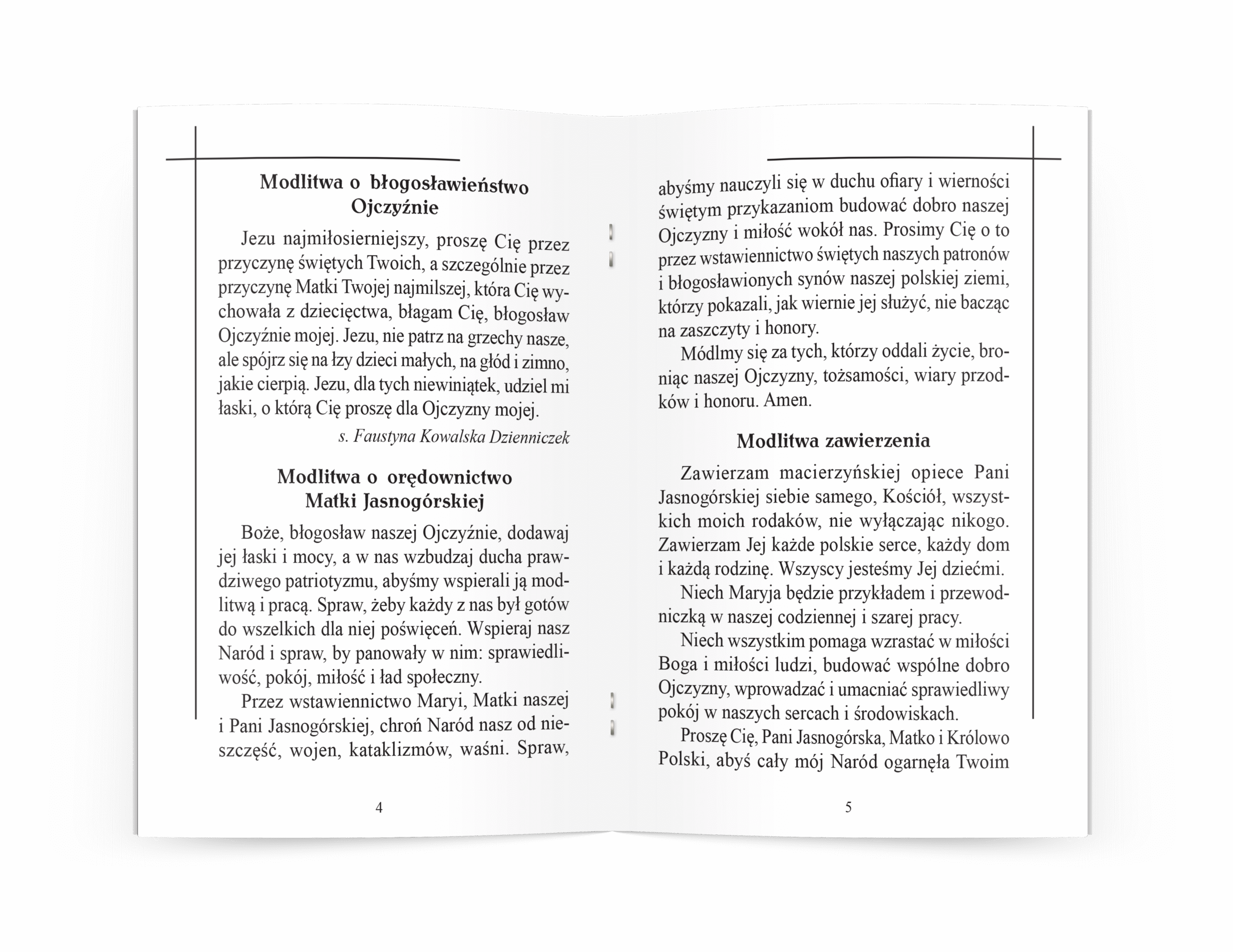 Za ojczyznę i o pokój - obrazek 2